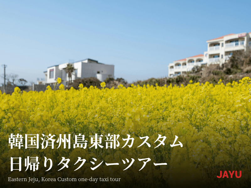 韓国済州島西部カスタム日帰り タクシーツアー 1