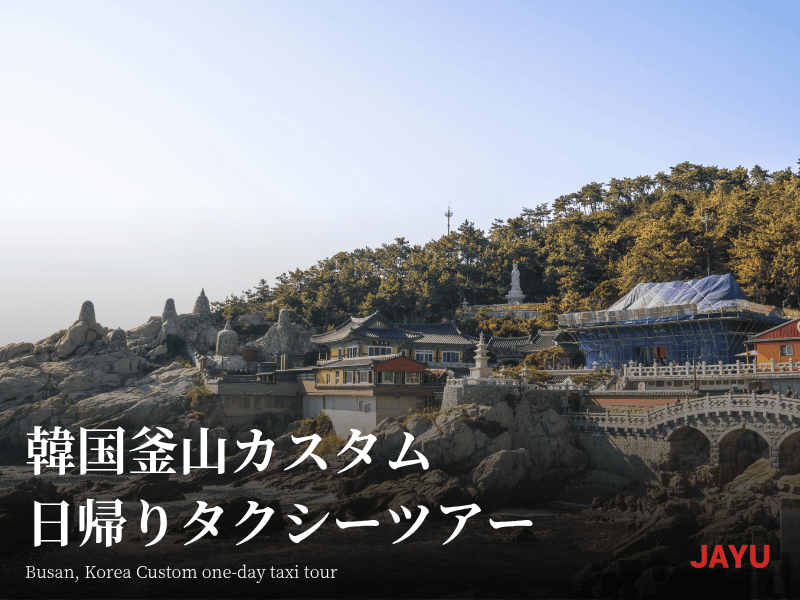 Custom one-day trip to Busan, South Korea taxi tour 1