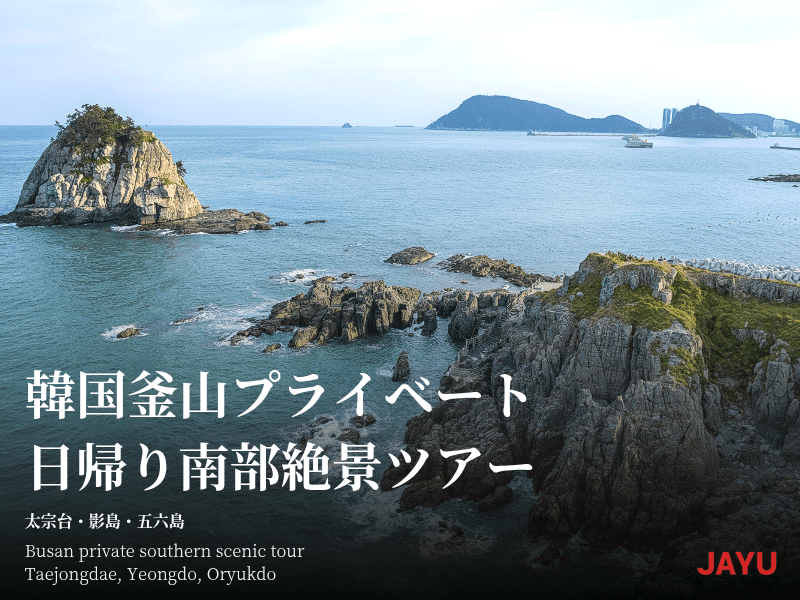 Custom one-day trip to Busan, South Korea taxi tour 1
