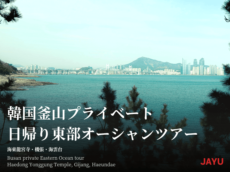 Custom one-day trip to Busan, South Korea taxi tour 1